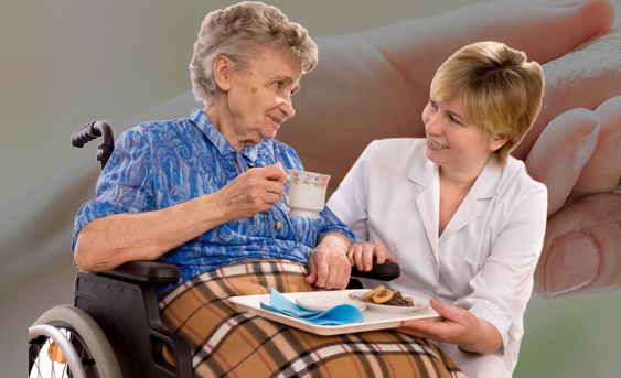 Home Care Disability Services