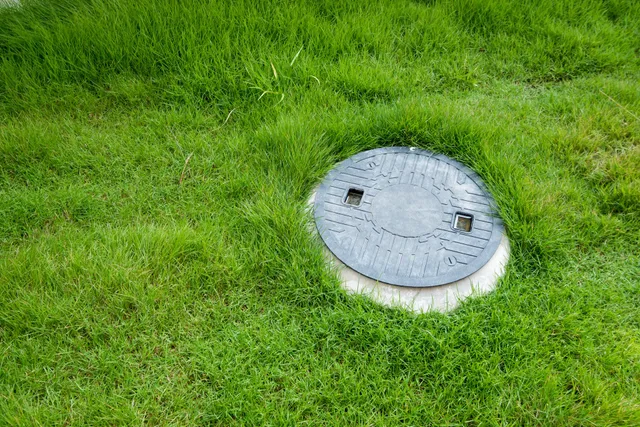 Bacteria Improve Septic Tank