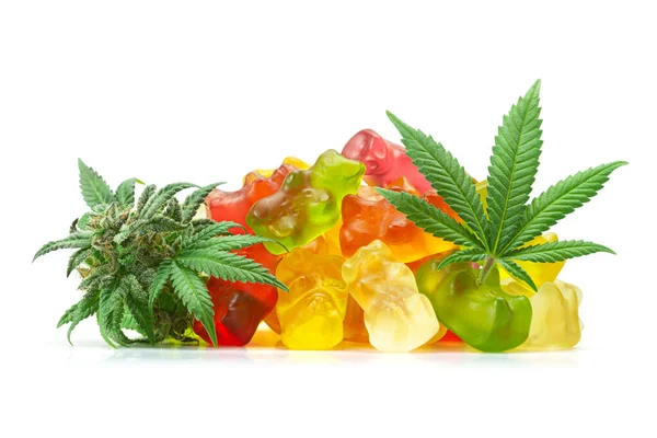 Adult Multivitamin Gummies